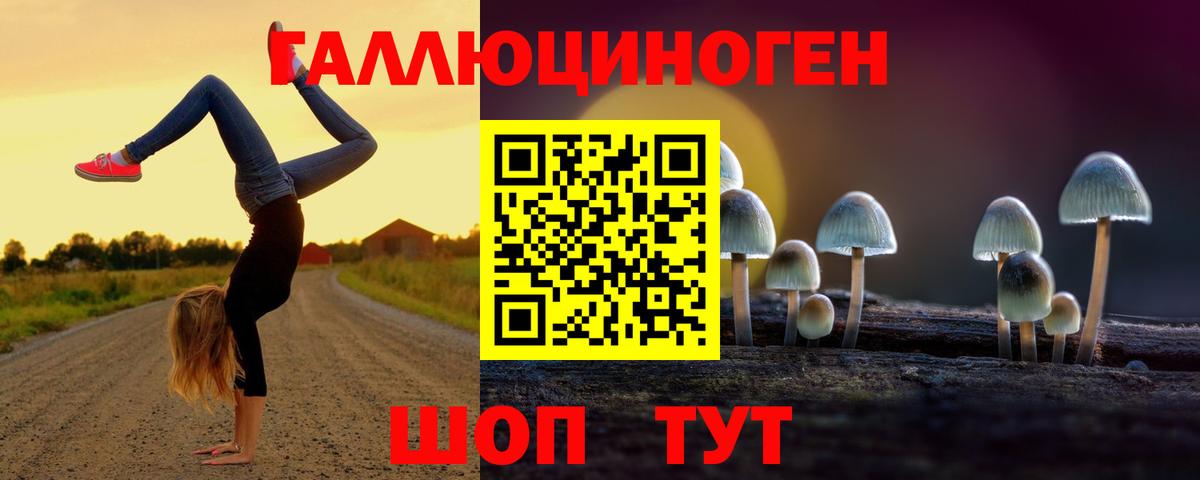 Галлюциногенные грибы мицелий  Вход с VPN  цена   Псилоцибиновые грибы GOLDEN TEACHER  Дюртюли 